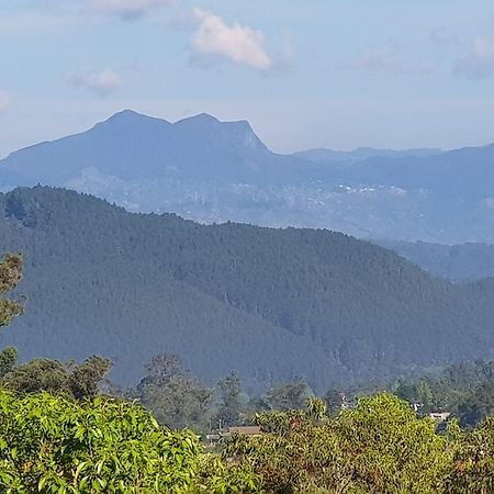 The Grand Bandarawela Hotell Exteriör bild
