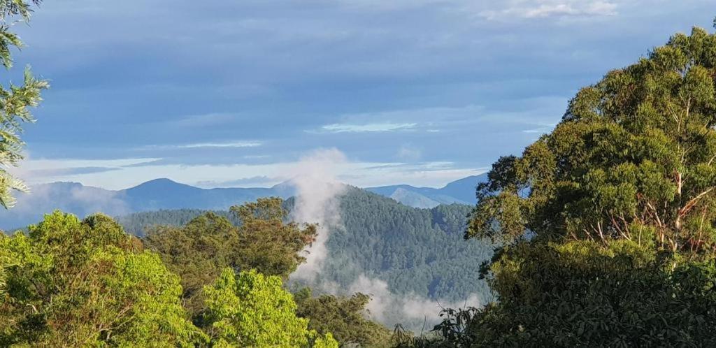 The Grand Bandarawela Hotell Exteriör bild